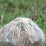 चाचा के घर पर भतीजे ने 3 बम मारे, बहन पर कमेंट को लेकर गुस्से में था भतीजा