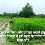 मृदा स्वास्थ्य और उर्वरता बढ़ाने हेतु कृषि विभाग ने हरी खाद के प्रयोग पर दिया जोर