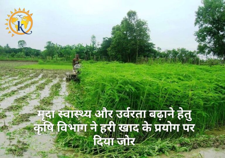 मृदा स्वास्थ्य और उर्वरता बढ़ाने हेतु कृषि विभाग ने हरी खाद के प्रयोग पर दिया जोर